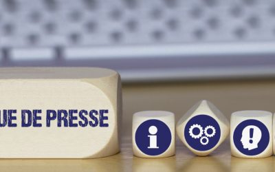 Digital Crisis Response, revue de presse 1